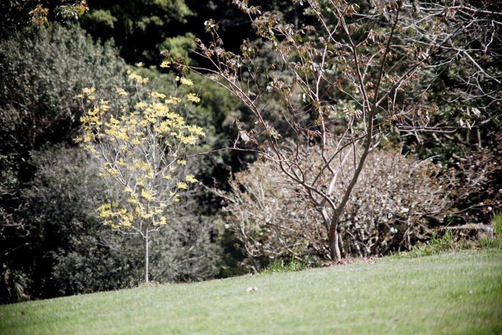 Villa Mt Glorious Getaways Mount Glorious Esterno foto