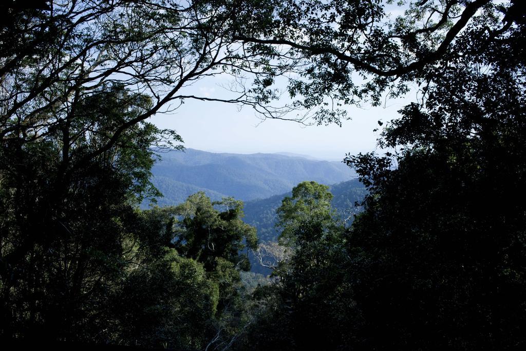 Villa Mt Glorious Getaways Mount Glorious Esterno foto